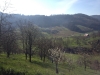 Sonne über den Parcours