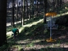 Im Wald ist es noch kühl