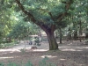 k-dsc06406