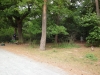 k-dsc06420
