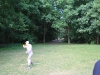 k-img_1284