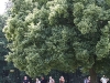 k-img_4942