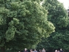k-img_4943