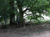 k-img_4944