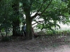 k-img_4945