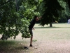 k-img_4946
