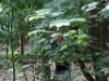 k-img_4952