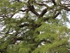 k-img_4959