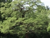 k-img_4960