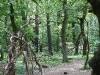 k-img_4970