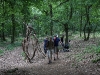 k-img_4983