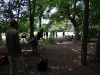 k-img_4986