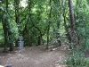 k-img_4990