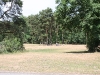 k-img_4993