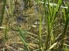 k-img_5025