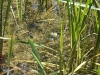 k-img_5026
