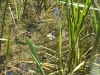 k-img_5027