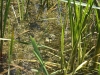 k-img_5028