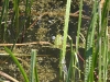k-img_5030