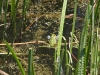 k-img_5032