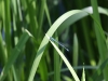 k-img_5033
