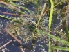k-img_5040