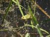 k-img_5044