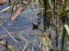 k-img_5046