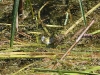 k-img_5048