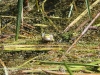 k-img_5049