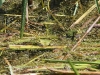 k-img_5050