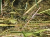 k-img_5051