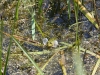 k-img_5056