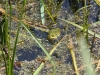 k-img_5057