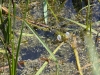 k-img_5058